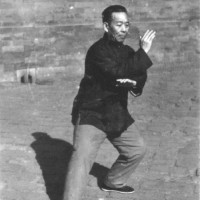 内功之理——王培生