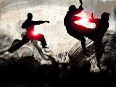 2019年全国青年武术散打锦标赛竞赛规程
